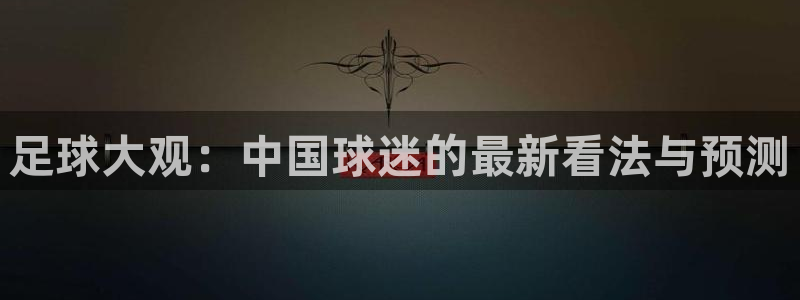 足球大观：中国球迷的最新看法与预测