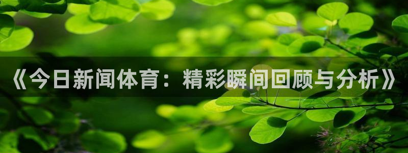 《今日新闻体育：精彩瞬间回顾与分析》