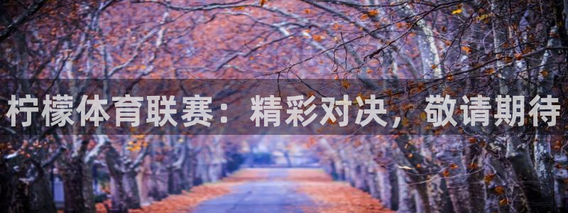 柠檬体育联赛：精彩对决，敬请期待