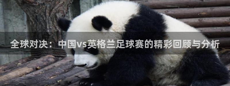 全球对决：中国vs英格兰足球赛的精彩回顾与分析