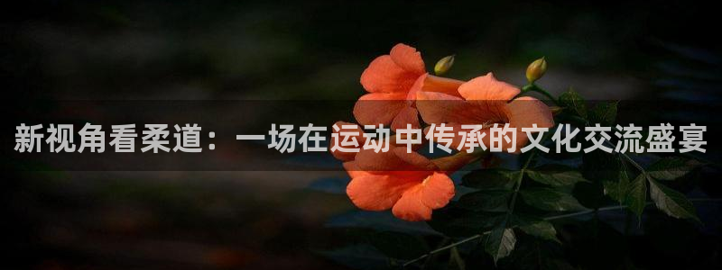 新视角看柔道：一场在运动中传承的文化交流盛宴