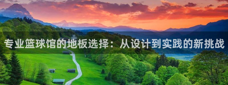专业篮球馆的地板选择：从设计到实践的新挑战