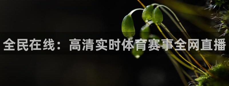全民在线：高清实时体育赛事全网直播