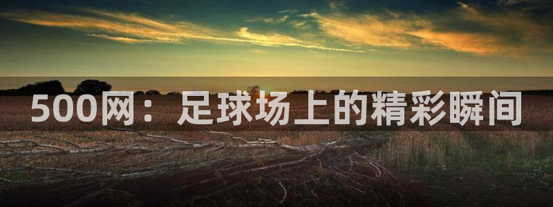 500网：足球场上的精彩瞬间