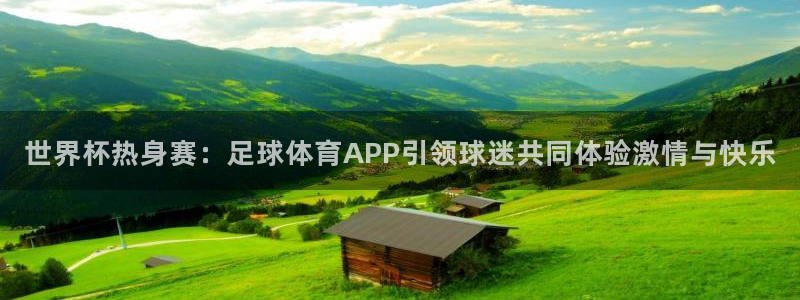 世界杯热身赛：足球体育APP引领球迷共同体验激情与快乐