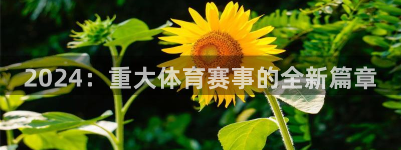 2024：重大体育赛事的全新篇章