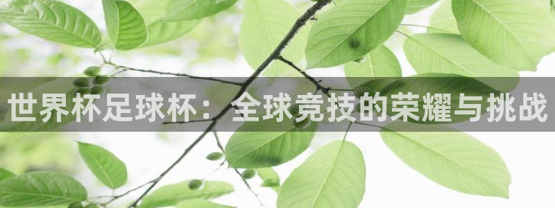 世界杯足球杯：全球竞技的荣耀与挑战