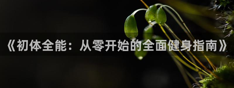 《初体全能：从零开始的全面健身指南》