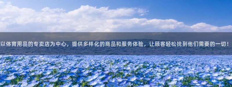 以体育用品的专卖店为中心，提供多样化的商品和服务体验，让顾客轻松找到他们需要的一