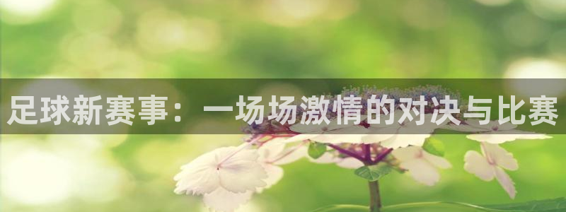 足球新赛事：一场场激情的对决与比赛