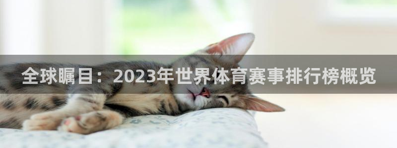 全球瞩目：2023年世界体育赛事排行榜概览