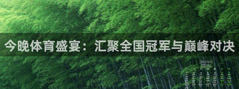 今晚体育盛宴：汇聚全国冠军与巅峰对决