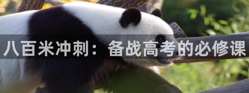 八百米冲刺：备战高考的必修课
