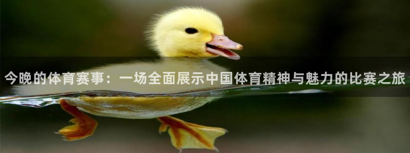 今晚的体育赛事：一场全面展示中国体育精神与魅力的比赛之旅
