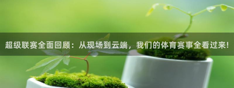 超级联赛全面回顾：从现场到云端，我们的体育赛事全看过来!