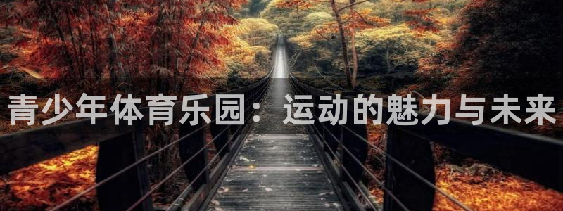 青少年体育乐园：运动的魅力与未来