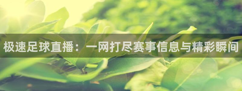 极速足球直播：一网打尽赛事信息与精彩瞬间