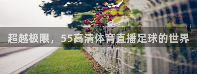 超越极限，55高清体育直播足球的世界