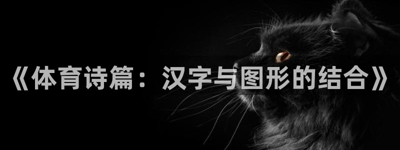 《体育诗篇：汉字与图形的结合》