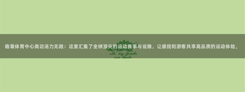 临港体育中心周边活力无限：这里汇集了全球顶尖的运动赛事与设施，让居民和游客共享高