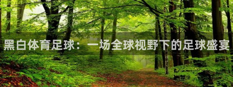 黑白体育足球：一场全球视野下的足球盛宴