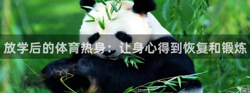 放学后的体育热身：让身心得到恢复和锻炼