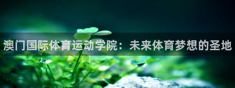 澳门国际体育运动学院：未来体育梦想的圣地