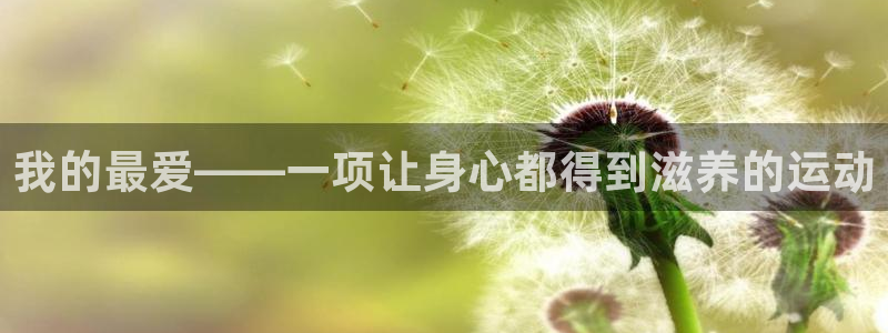 我的最爱——一项让身心都得到滋养的运动