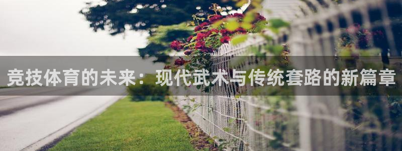 竞技体育的未来：现代武术与传统套路的新篇章