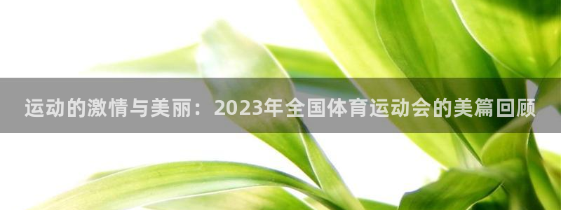 运动的激情与美丽：2023年全国体育运动会的美篇回顾