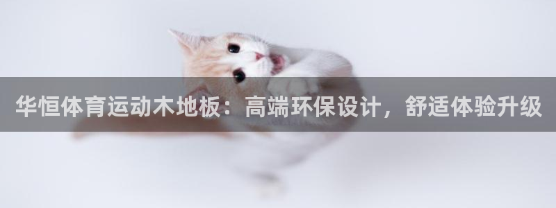 华恒体育运动木地板：高端环保设计，舒适体验升级