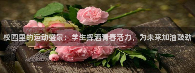 校园里的运动盛景：学生挥洒青春活力，为未来加油鼓劲