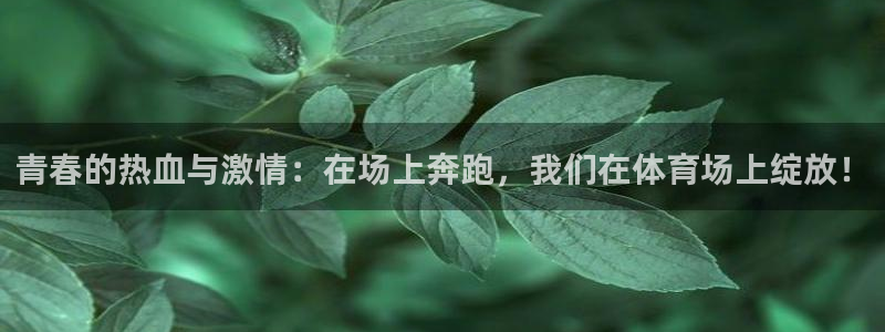 青春的热血与激情：在场上奔跑，我们在体育场上绽放！