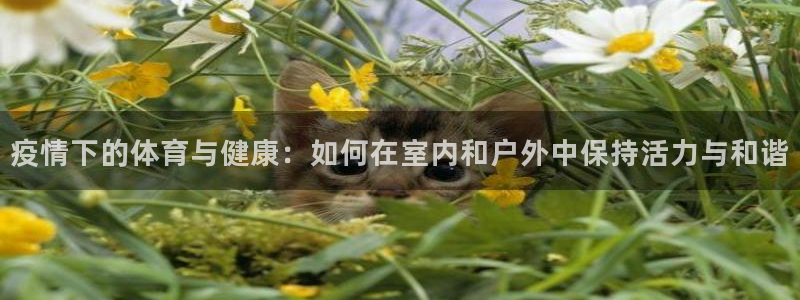 疫情下的体育与健康：如何在室内和户外中保持活力与和谐