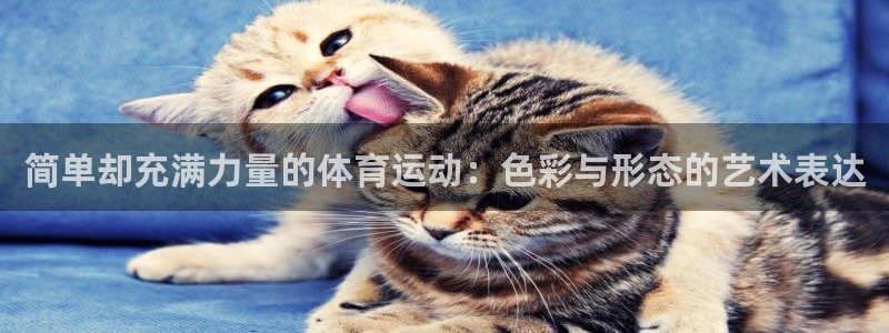 简单却充满力量的体育运动：色彩与形态的艺术表达