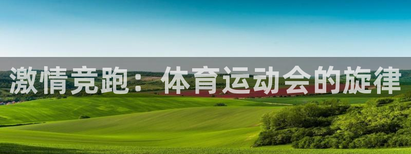 激情竞跑：体育运动会的旋律