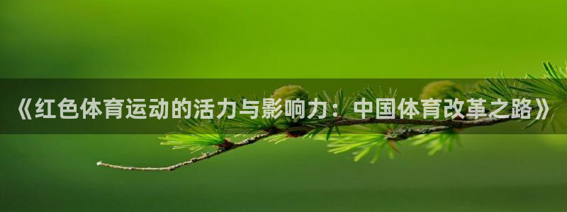 《红色体育运动的活力与影响力：中国体育改革之路》
