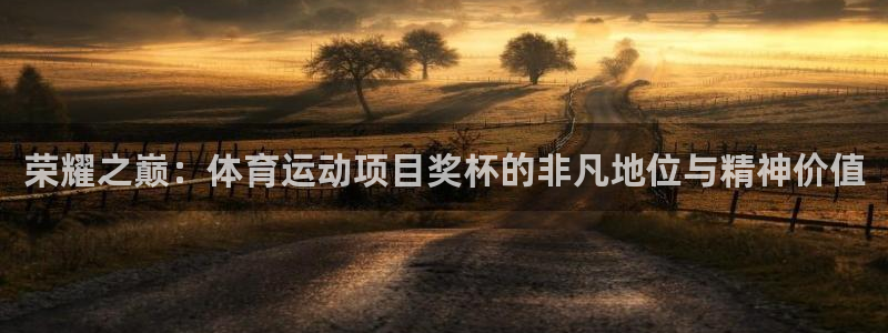 荣耀之巅：体育运动项目奖杯的非凡地位与精神价值