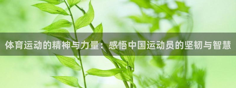 体育运动的精神与力量：感悟中国运动员的坚韧与智慧