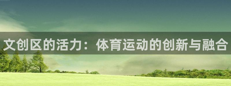 文创区的活力：体育运动的创新与融合