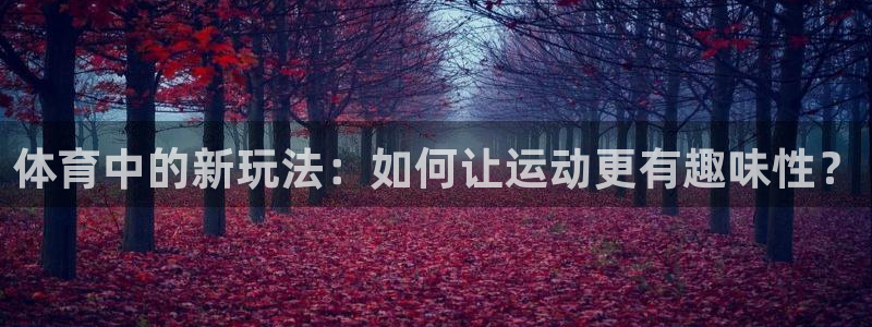 体育中的新玩法：如何让运动更有趣味性？