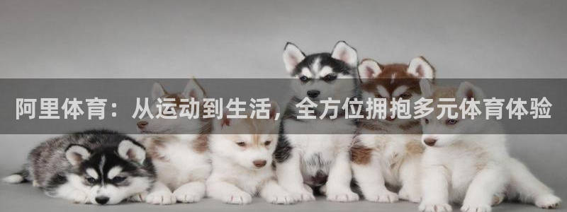 阿里体育：从运动到生活，全方位拥抱多元体育体验