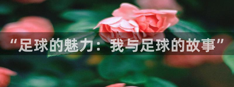 “足球的魅力：我与足球的故事”