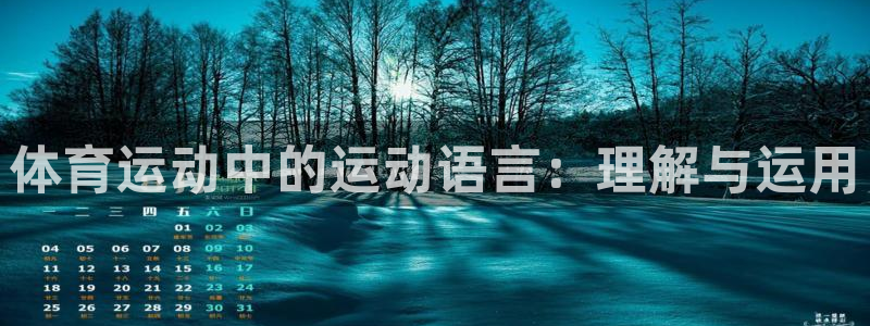 体育运动中的运动语言：理解与运用
