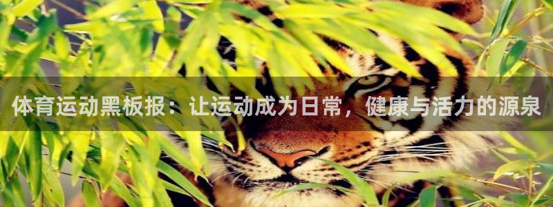 体育运动黑板报：让运动成为日常，健康与活力的源泉