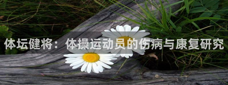 体坛健将：体操运动员的伤病与康复研究