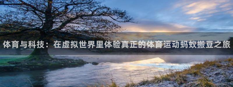 体育与科技：在虚拟世界里体验真正的体育运动蚂蚁搬豆之旅