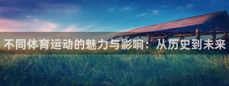 不同体育运动的魅力与影响：从历史到未来