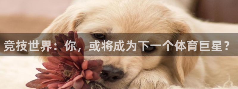 竞技世界：你，或将成为下一个体育巨星？