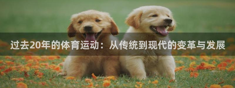 过去20年的体育运动：从传统到现代的变革与发展